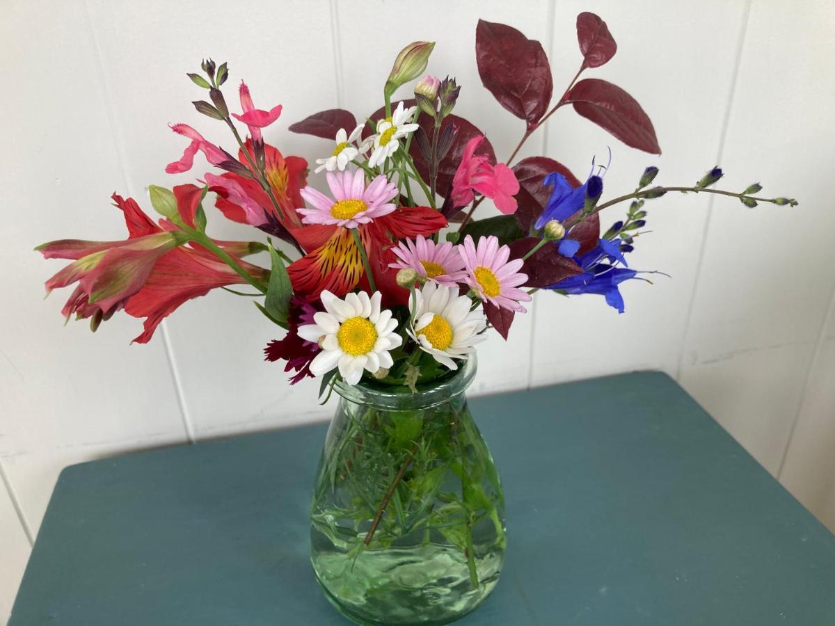 Country Bliss Cottage Greytown Luaran gambar